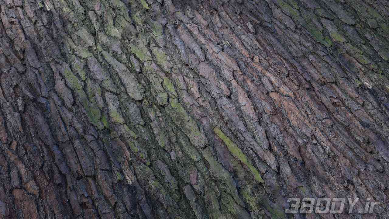 متریال پوست درخت کاج Pine tree bark عکس 1